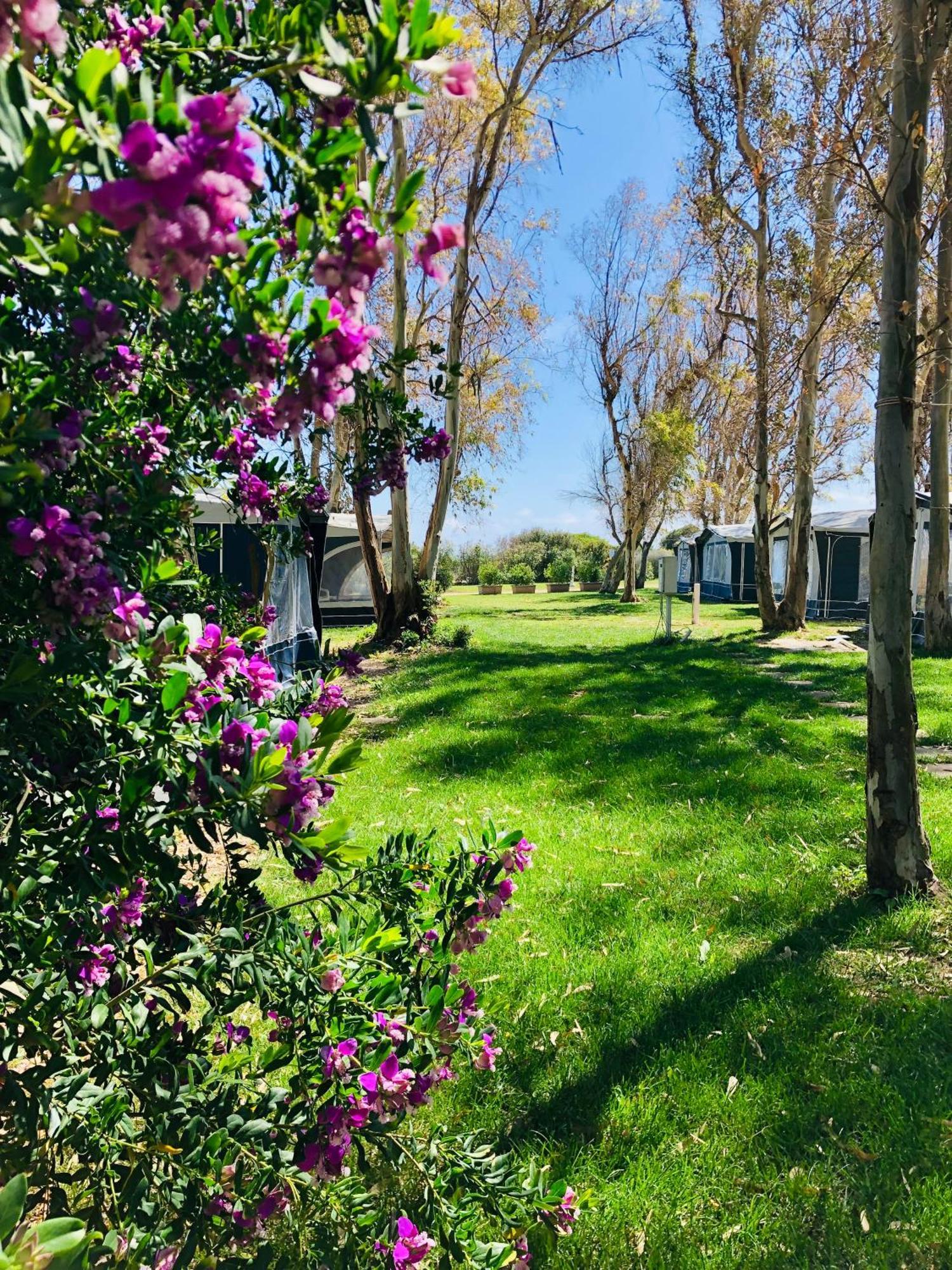 Camping Cala D'Ostia Pula Exterior foto